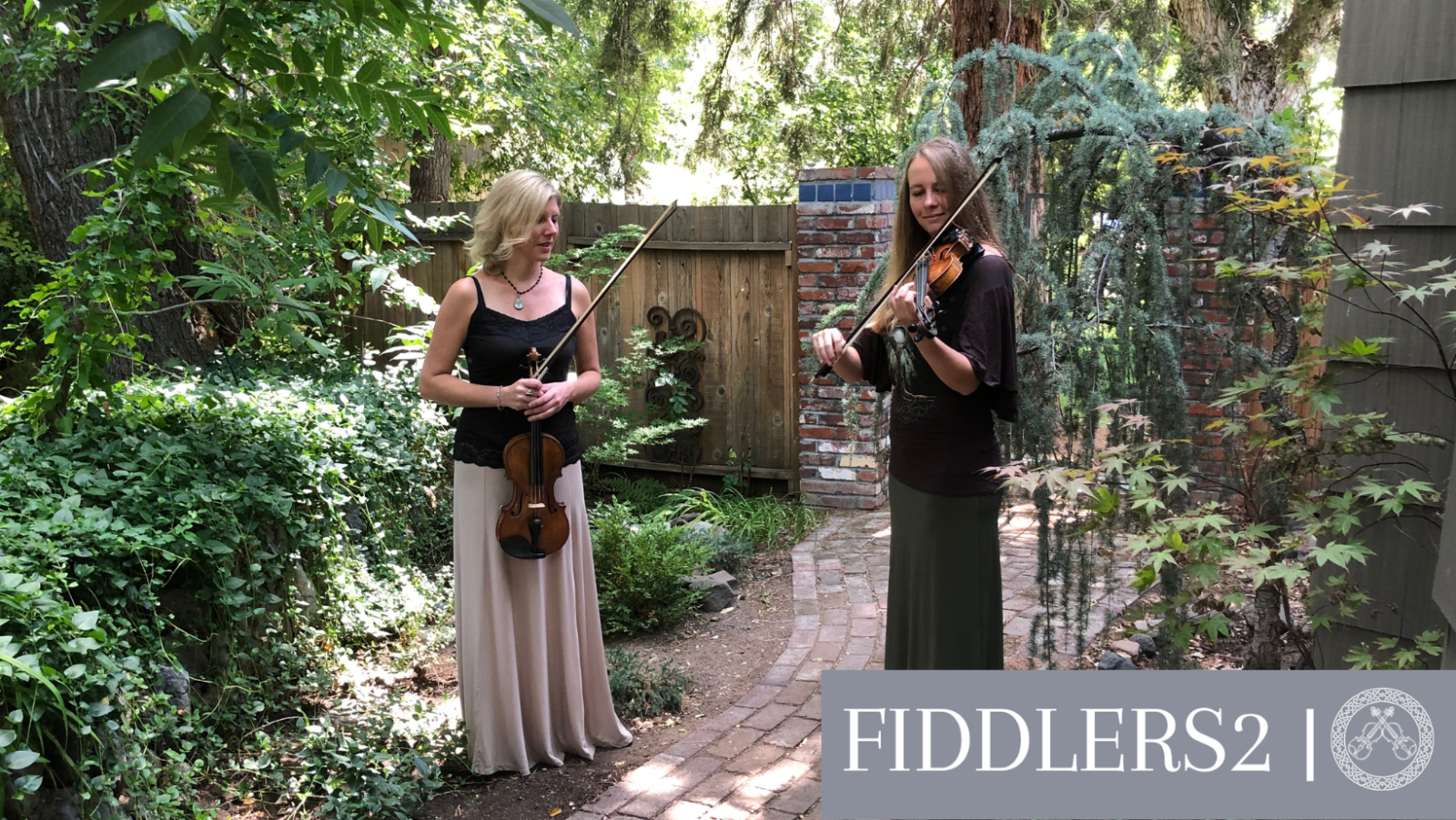 Fiddlers2 irish music